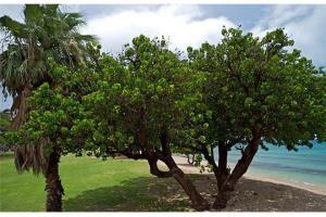 Beautiful Ground Floor! Corner! Just Steps To Ocean And Pool!120 Hotel Napili-Honokowai Ngoại thất bức ảnh